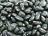 秋田県産黒ささげ　豆の種類