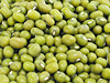 緑豆　豆の種類